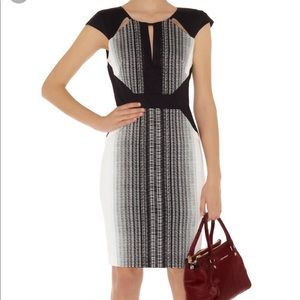 Dynamic Karen Millen Graphic Texture Dress US 4